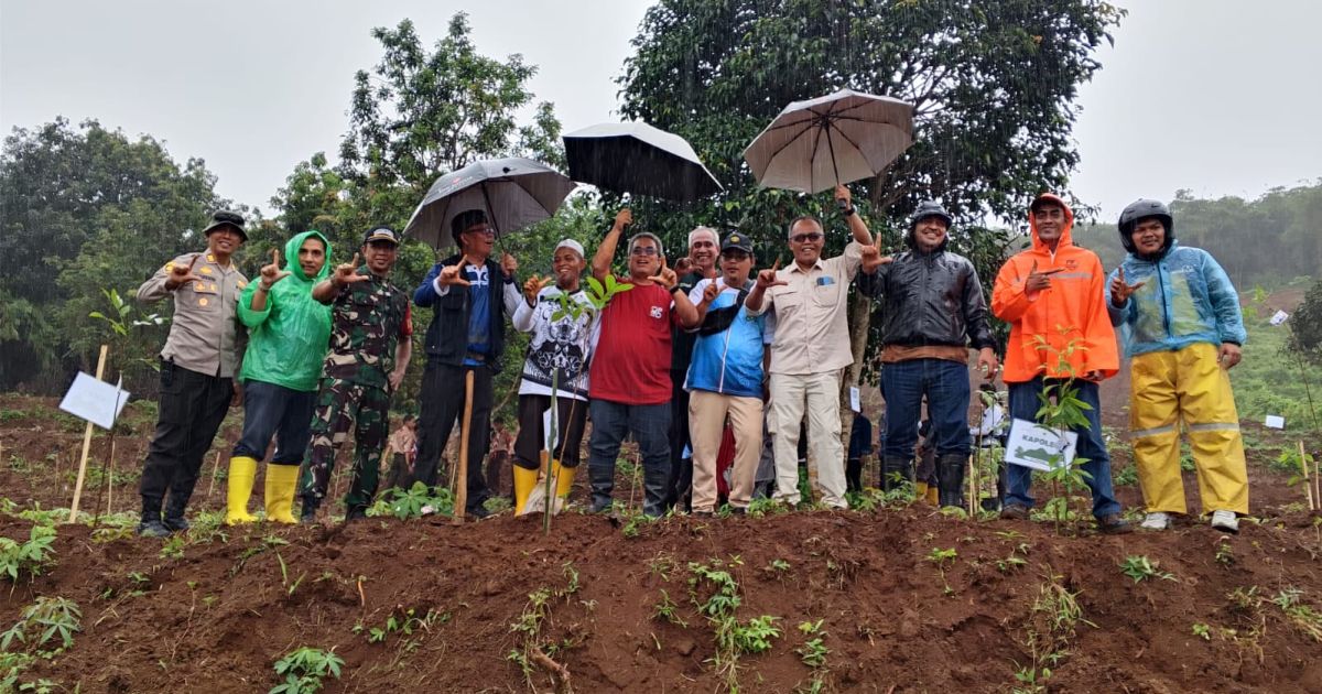 Kabupaten Bogor Gaungkan Program Hutan Kota, Kecamatan Nanggung Jadi Pelopor Penghijauan di Bogor Barat