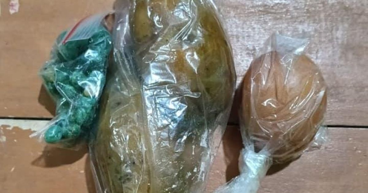 Polemik Menu Makan Bergizi Gratis di Nanggung: Antara Harapan dan Evaluasi