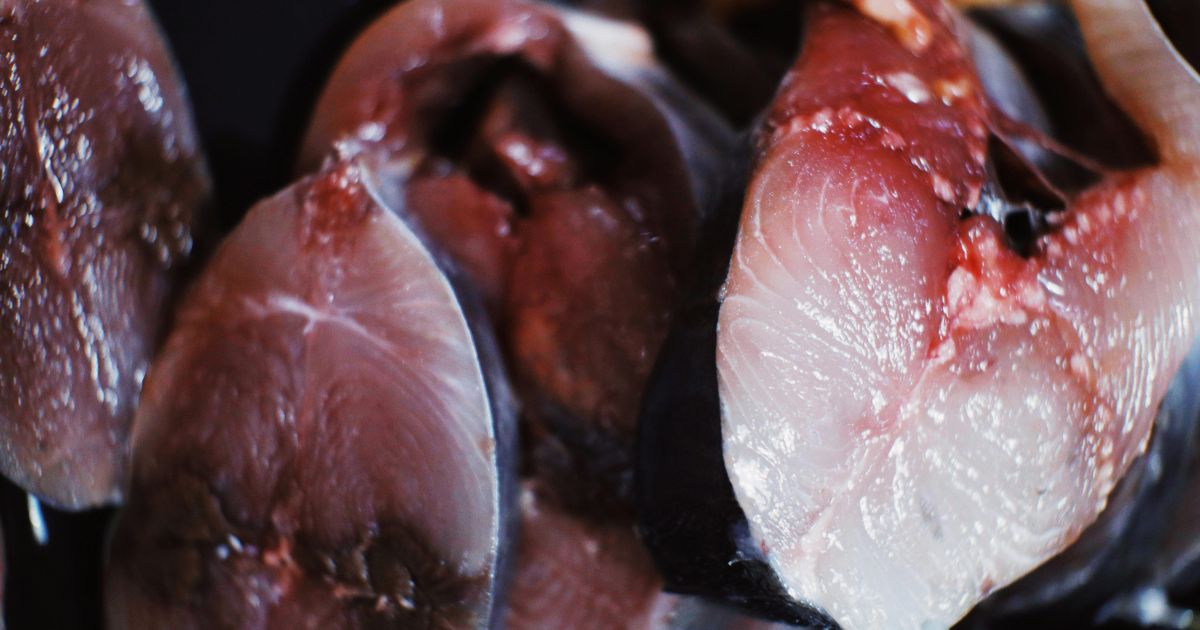 Bukan Sekadar Lele Mentah: Mengungkap Isi Lengkap Menu Bergizi Gratis di Pamekasan yang Sempat Viral