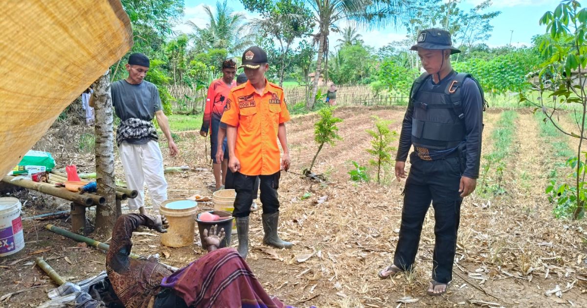 Petani 74 Tahun di Pabuaran Tewas Tertimpa Bambu Saat Berkebun, Jasad Ditemukan Tetangga