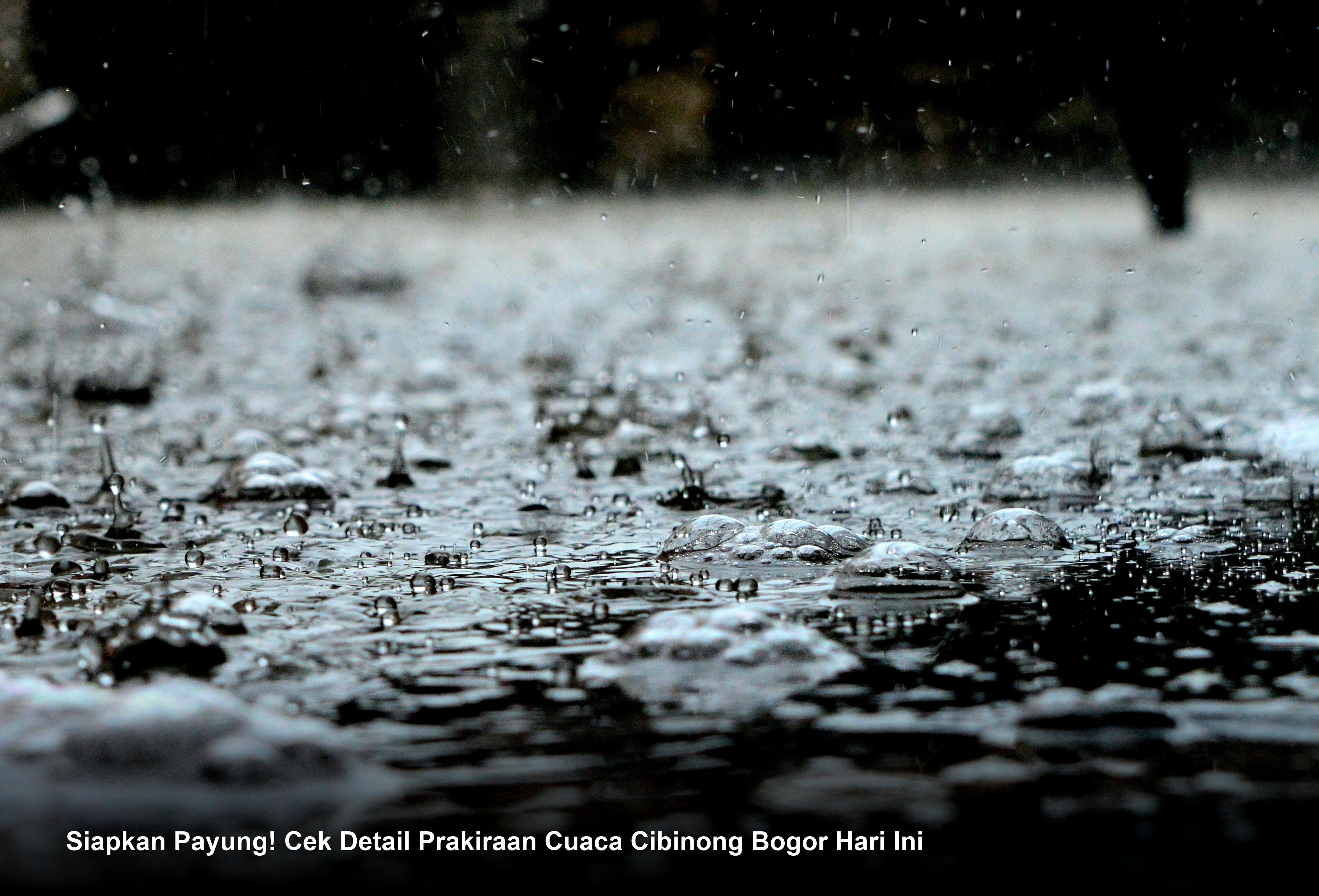 Siapkan Payung! Cek Detail Prakiraan Cuaca Cibinong Bogor Hari Ini