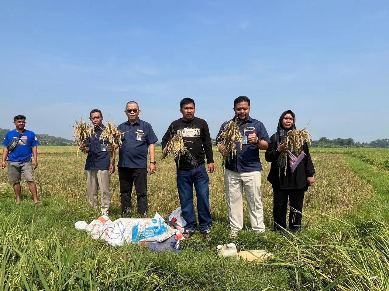 BULOG Jabar Pastikan Serap Gabah Petani, Dukung Program KDMP dan MBG